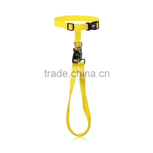 Wholesale Pet Dog Leash Retractable Lead photo-3