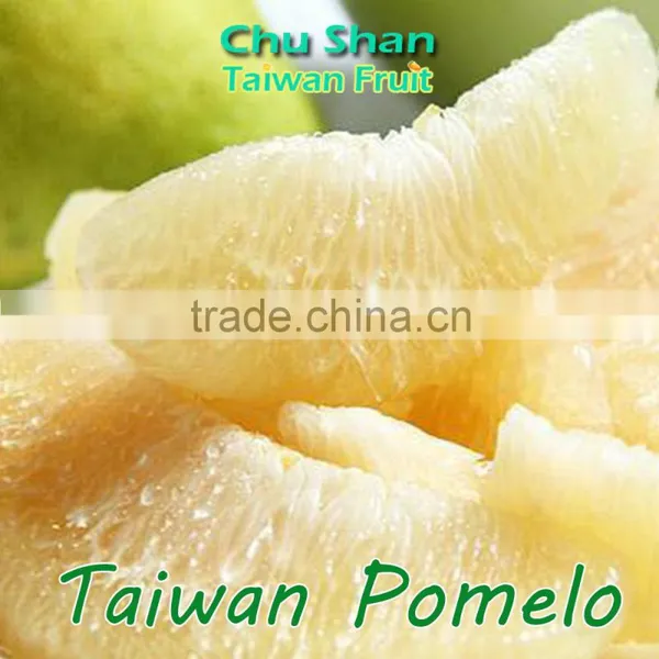 Grade A Fresh Pomelo