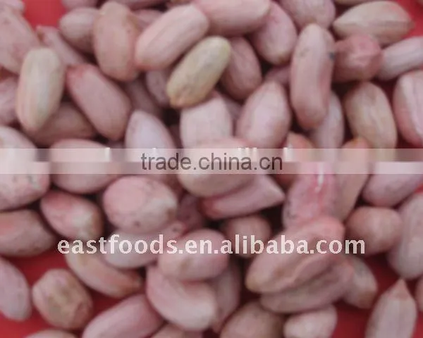 Raw Peanuts Kernel From China photo-4