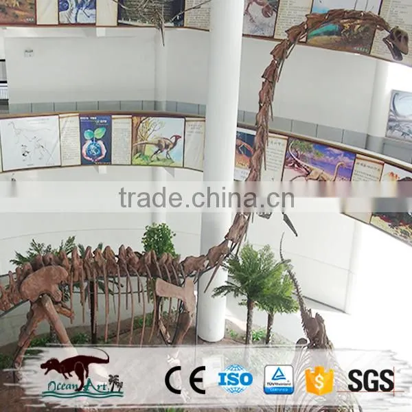 Simulation Dinosaur Skeleton for Display