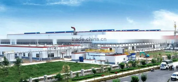 BOPET Film for Thermal Transfer Ribbion