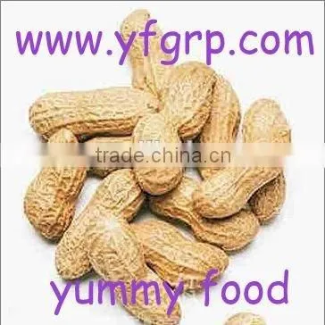Peanut Price of Red Skin Peanut Kernel With Peanuts 1kg Price photo-2