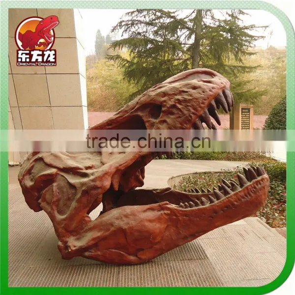T-rex Head Skeleton