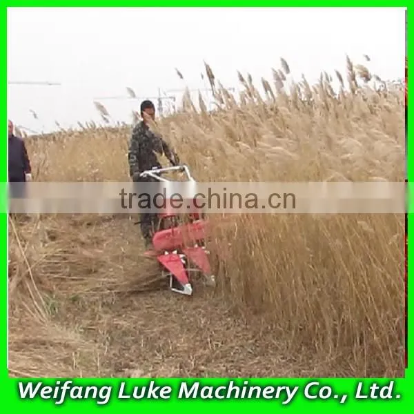 Wheat and Rice Cutter Mini Harvester photo-4