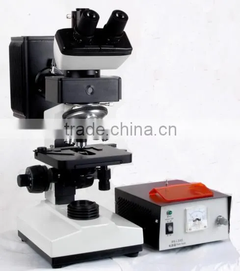 Fluorescence Microscope