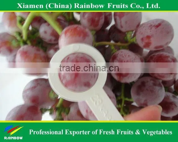 Nasik Grapes From Yunnan & Xinjiang Area Red Globe Grape Fresh Fruit Red Grape From China Import Export Companies Pune