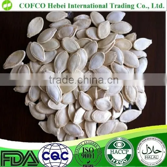 13mm up Snow White Pumpkin Seeds