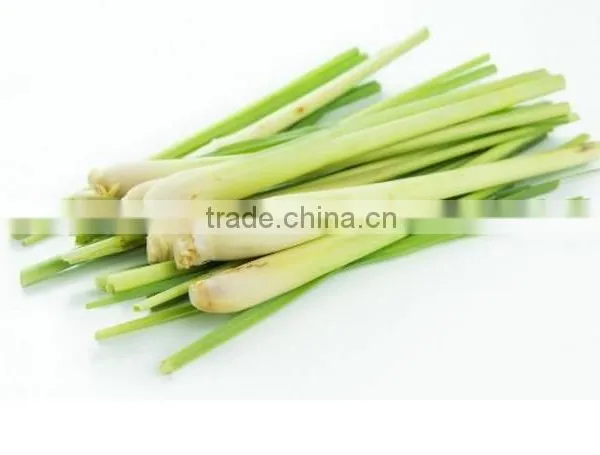 Frozen Lemongrass Whole photo-2
