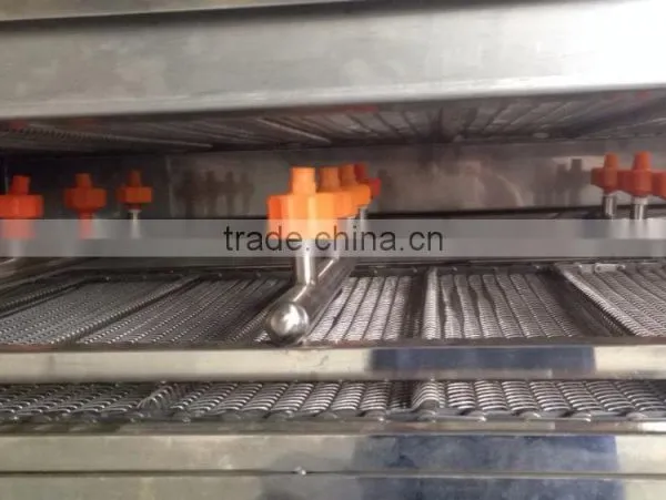 DUP-5000 Vegetable and Fruit Top and Bottom Washer Cleaner photo-4