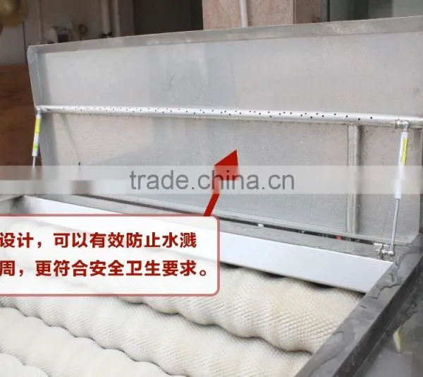MSTP-500 Ginger Washing Machine Ginger Cleaning Machin Cassava Washing Cleaning Machine photo-5
