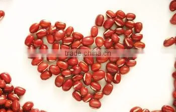 JSX All Size of Small Red Beans Superior Small Red Mung Beans photo-2