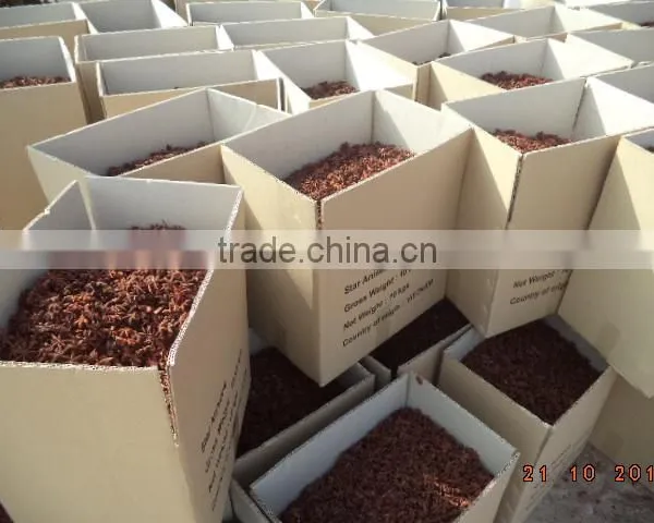 HIGH QUALITY STAR ANISEED FROM KEGO VIETNAM photo-5