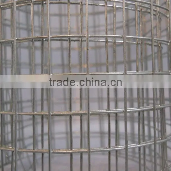 Galvanized Welded Wire Mesh