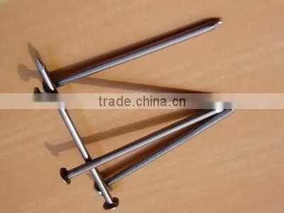 Manufacture Iron Common Nail/round Wire Nail photo-3