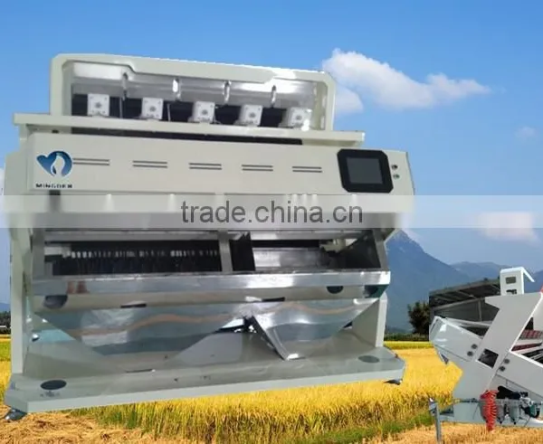 Ccd Color Sorting Machine, High Capacity Rice Color Sorter Machine photo-6