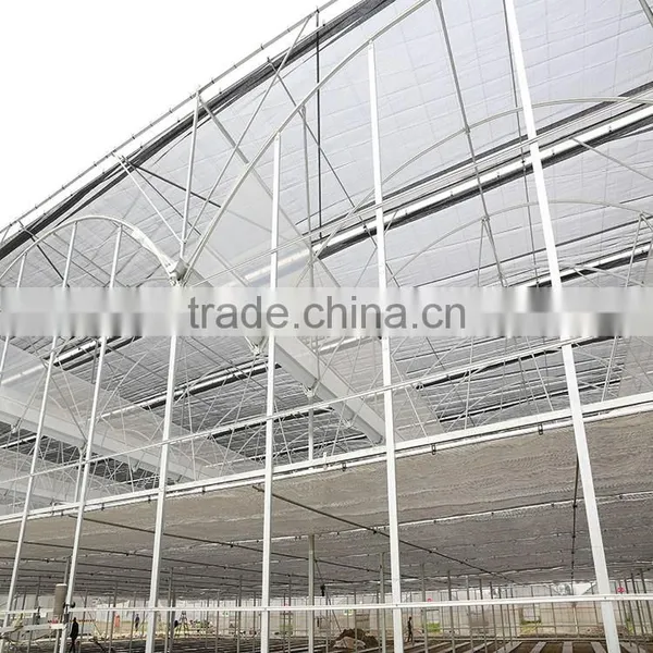 Multi Span Plastic Roofing Sheets Agricultural Commercial Greenhouses for Sale