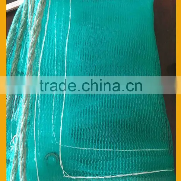 Scaffolding Net