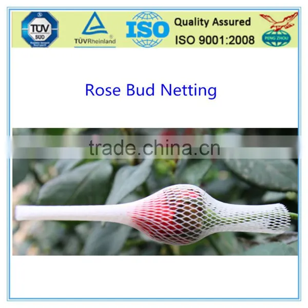 10*1cm Rose Bud Protection Netting photo-3
