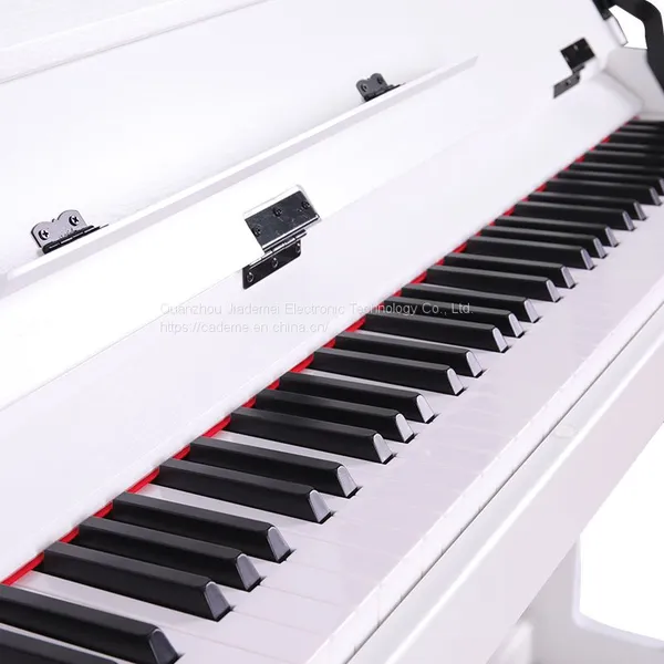 OEM Digital Electric Piano for Kids Professionals Electronic Organ Piano Keyboard photo-4