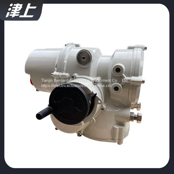 Valve Motor Unit IT10 Intelligent Angular Stroke Electric Actuator photo-3