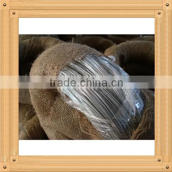 Low Carbon Steel Wire, Galvanized Iron Wire photo-2