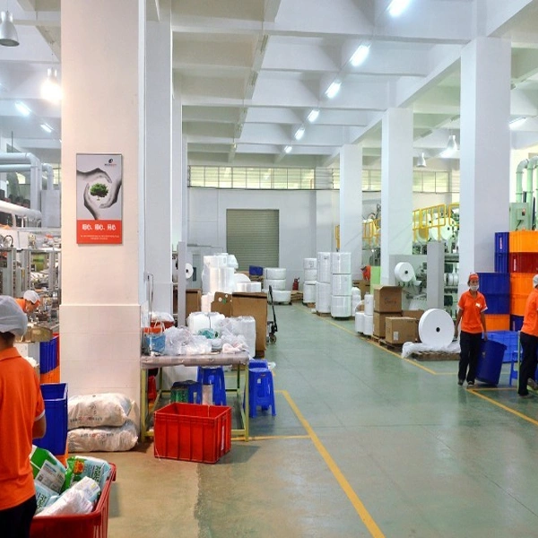 Quanzhou Coach Hygiene Products CO.,LTD company overview - view 3