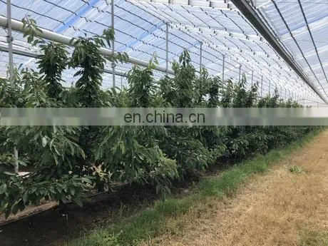 Innovative Covers for Actinidia and Cherry Orchards and Grape photo-2