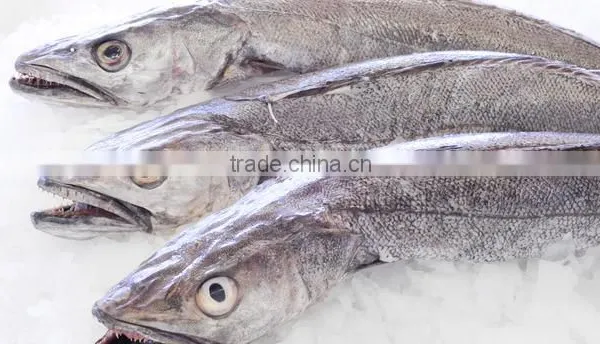 WR Frozen Hake photo-2