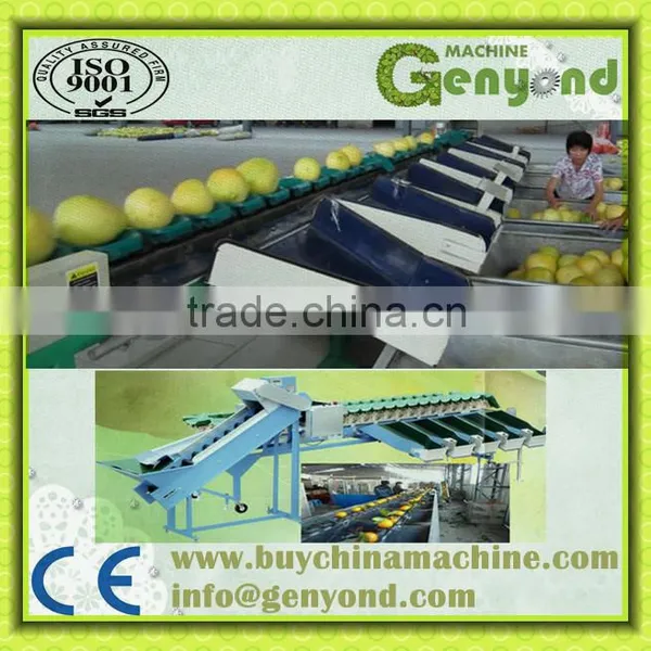 Fruit Sorter Machine