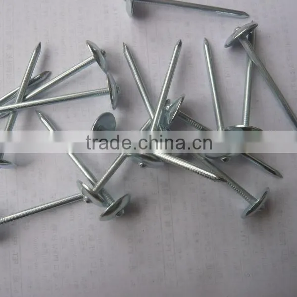BAOLIN roofing nail