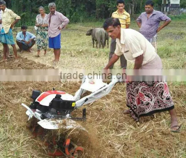 6.5HP Agricultural Equipment for Rice Rice Tilling Field Farming Equipment Farm Tiller photo-2