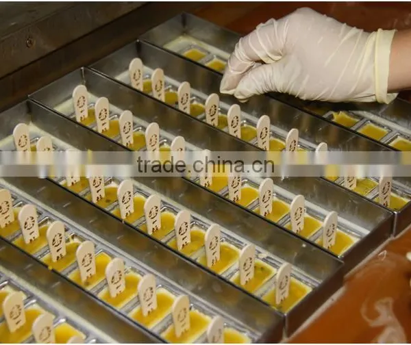 Stainless Steel Mold Wholesale Ice Popsicle Machine photo-5