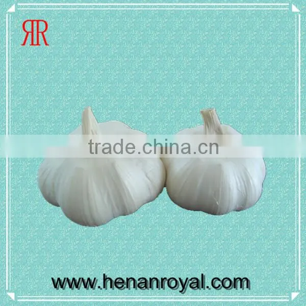 Natural Purple Garlics in China