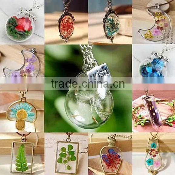 Wishing Bottle Fashion Sweater Chain Dried Flower Moss Pendant Necklace For Gift photo-2