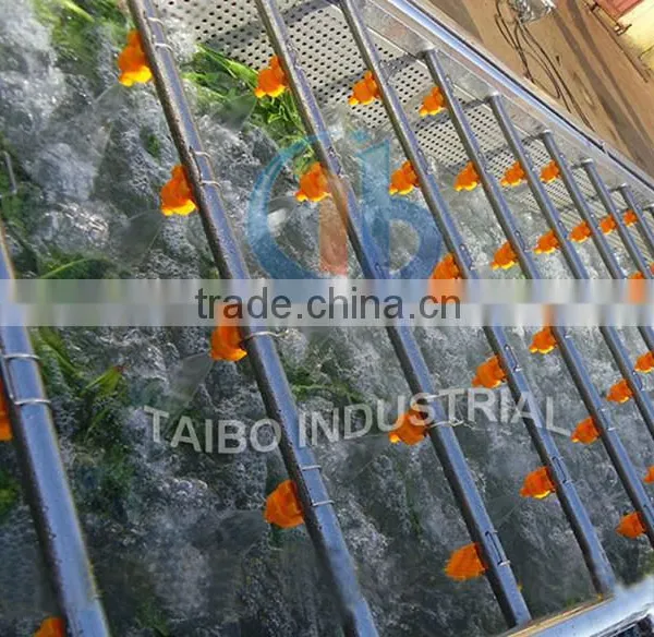 Fruit Processing Machinery Washer Type Apple Washing Machine photo-5