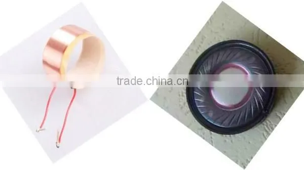 Headset Invoice Coil