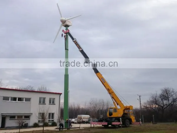 5kw Garden Windmill Metal Windmill Garden Decoration Wind Turbine System photo-3