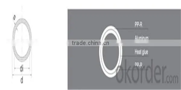 Female Threaded Elbow Wangyanan photo-5