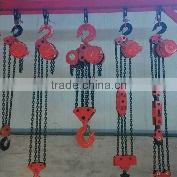 DHP Type Hoist Cranes Electric Hoist Chain Block photo-6