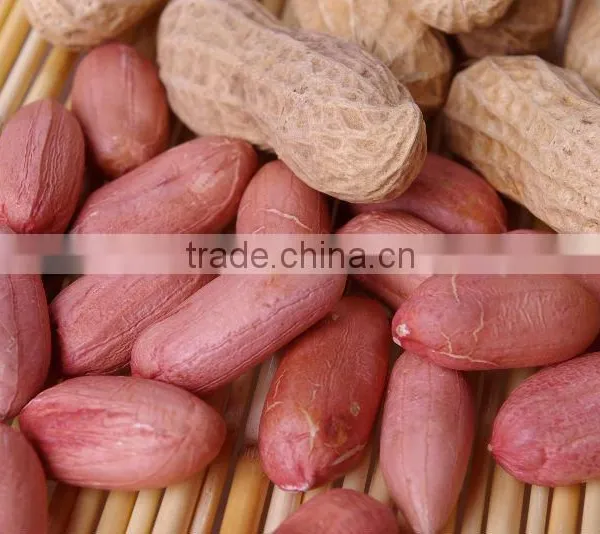 Dry Roasted Peanut Peeler Machine India Peanut Red Skin Peeling Machine For Roasted Peanut photo-5