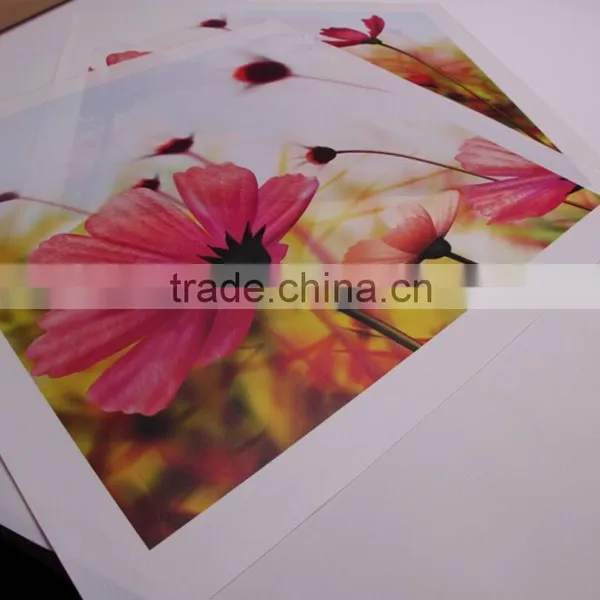 Blank Digital Printing Canvas for Painting photo-4