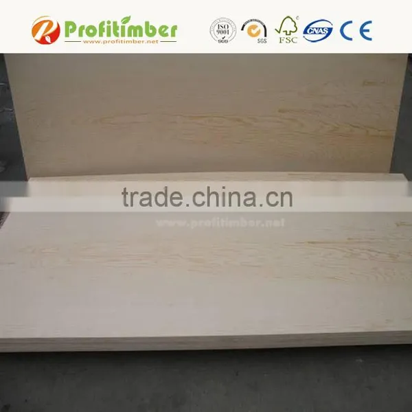 Exterior Grade Waterproof Plywood Sheet photo-3