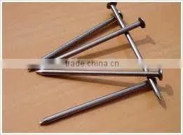 Low Price Good Quality Common Nail photo-2