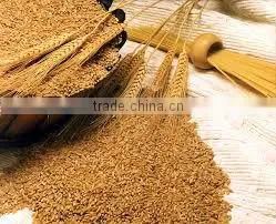 Soft Milling Wheat photo-4