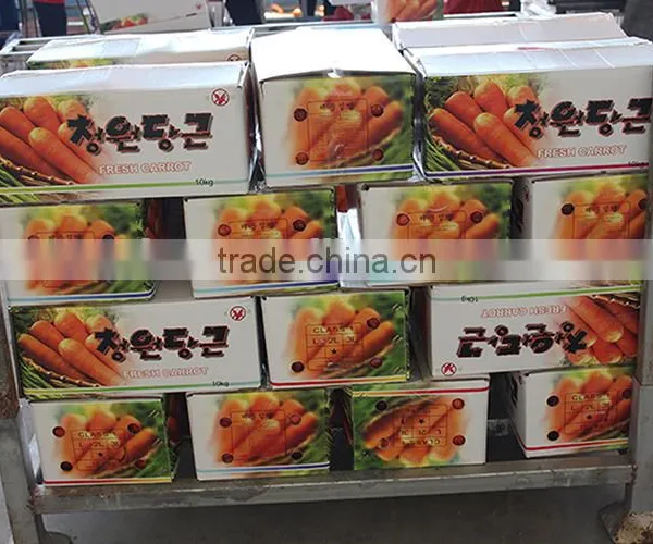 Farmland Fresh Red Carrots Supplier photo-6