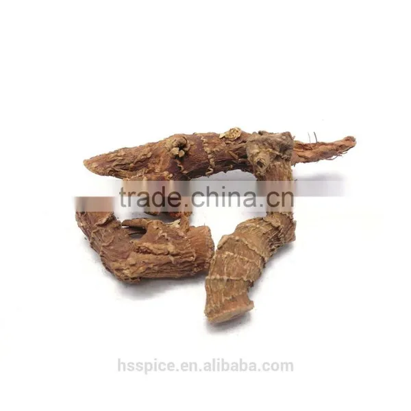 Lowest Price Premium Dried Galangal Roots photo-4