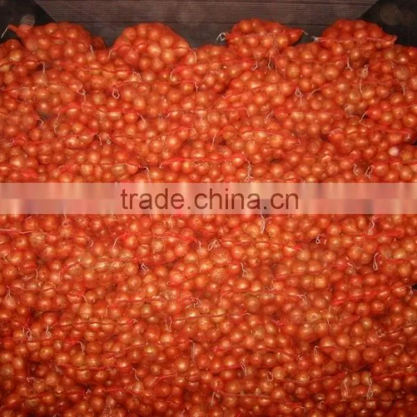 New Red Onion Yellow Onion Wholesale Price photo-3