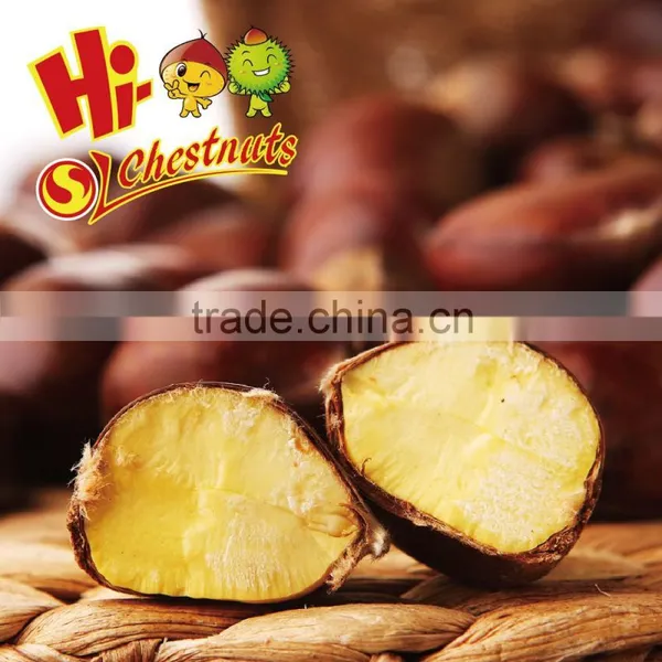 Hot Selling Big Size Chinese Chestnuts--Tai an Chestnuts photo-4
