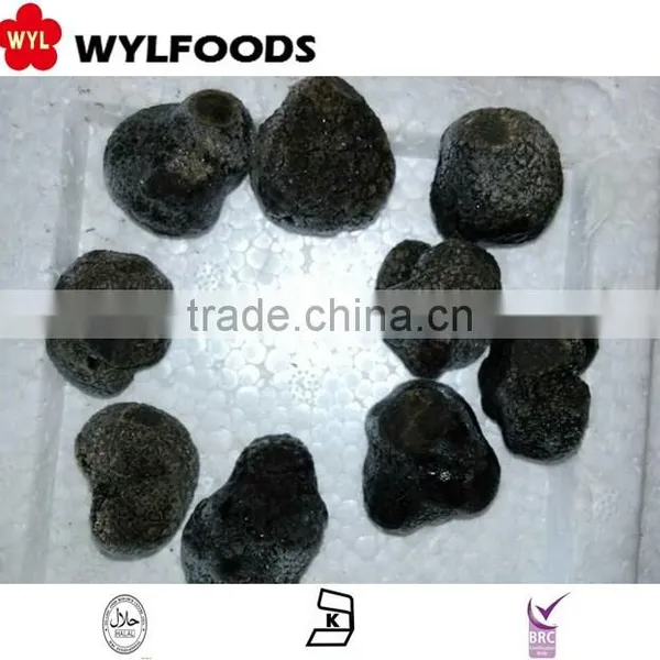 2016 Best Qualiety IQF Frozen Summer Truffle