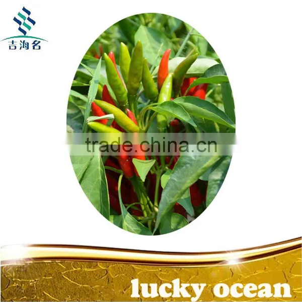 Whole Dry Red Chilli